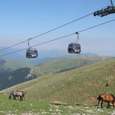 Solineu La Molina Alp